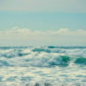 Meet your Posher, Hayley